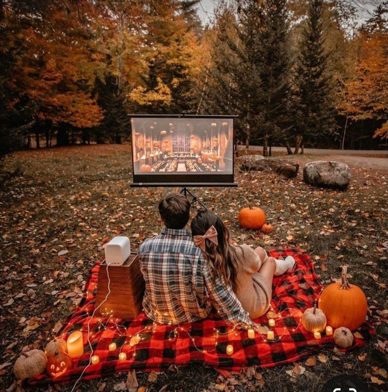 Screenshot_20231113_124333_Pinterest