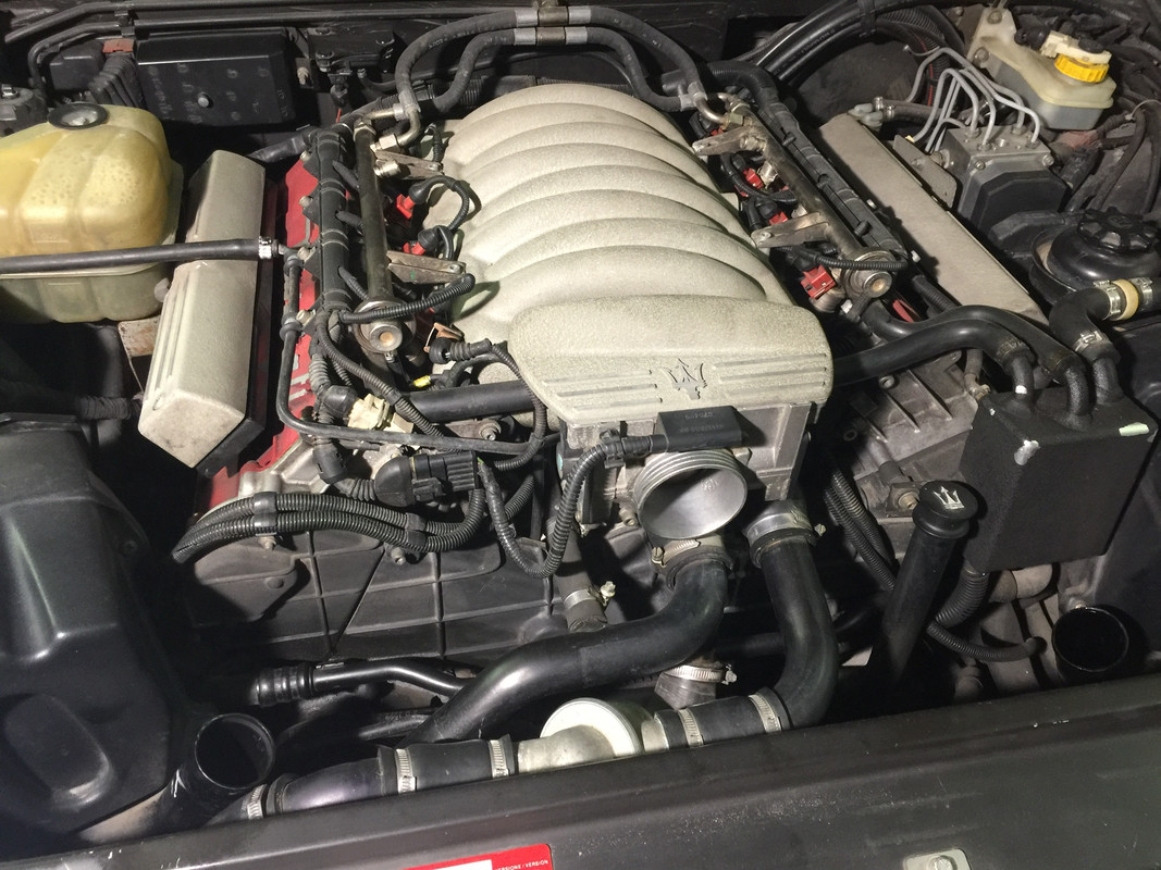 D1174450-6506-4354-8005-F6D39D93E746