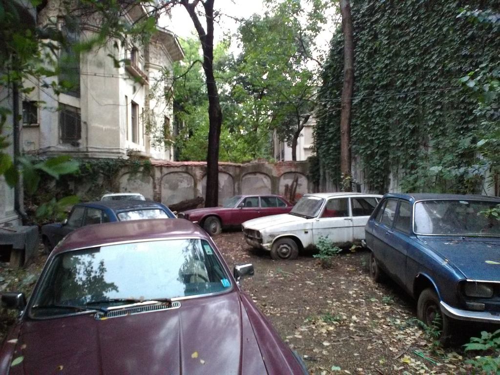 14352107_326294351053843_2136542275218756091_o