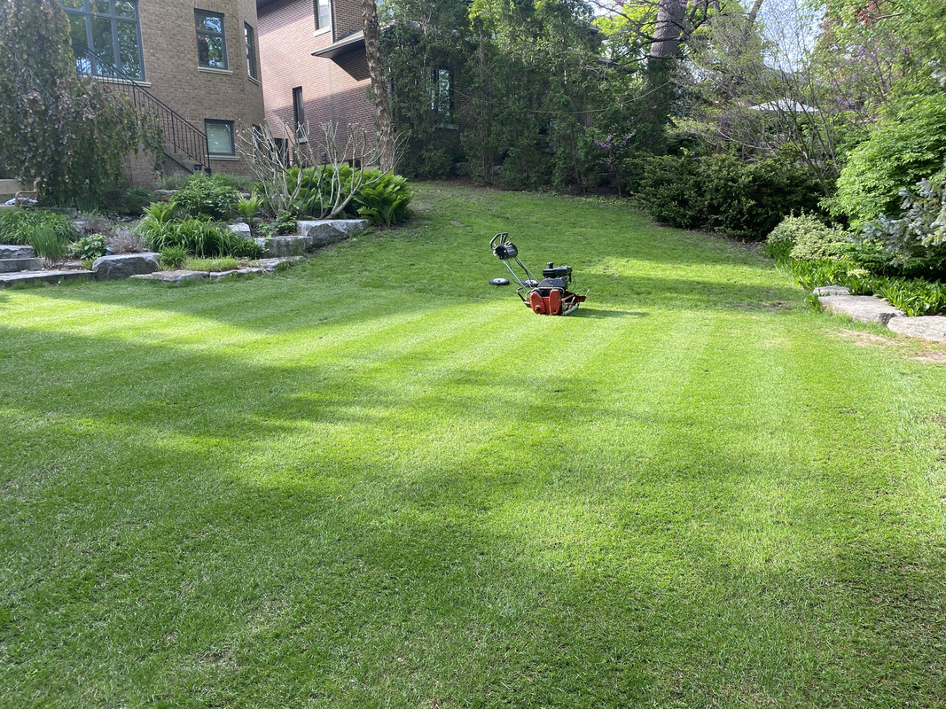 90BD5738-299D-4B4F-86FC-5502C850528F