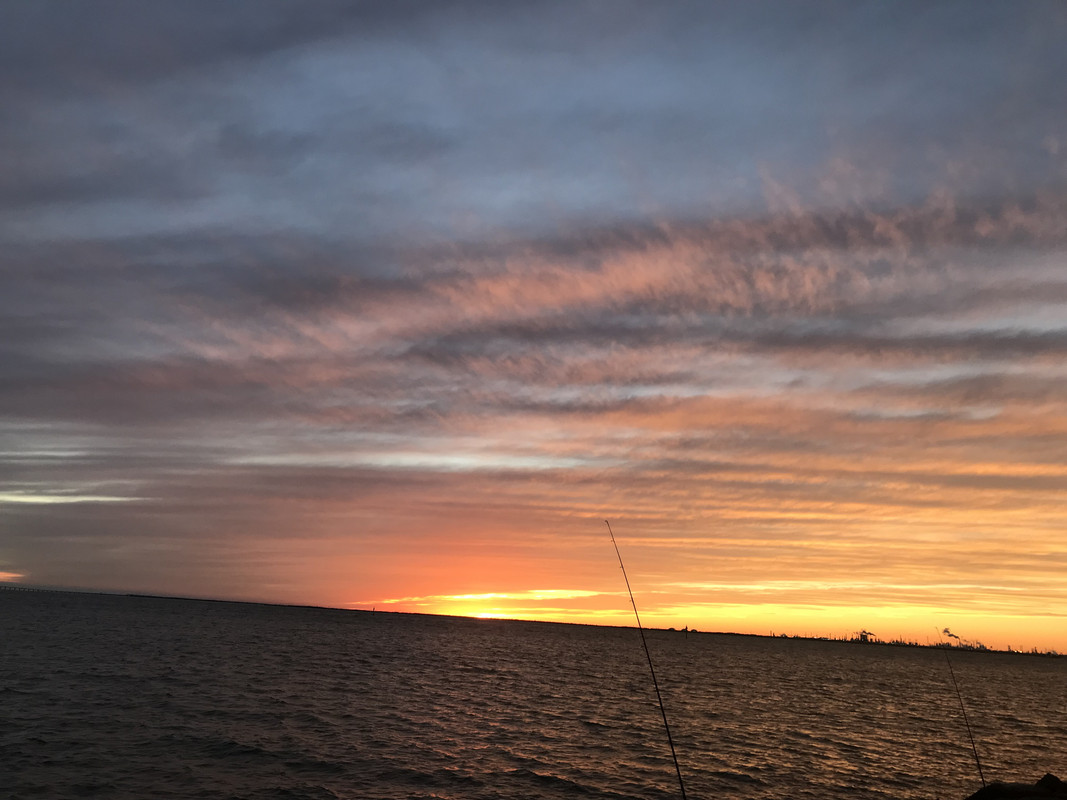 72A02C6E-1F38-4F0B-8E6F-883D2085B66B