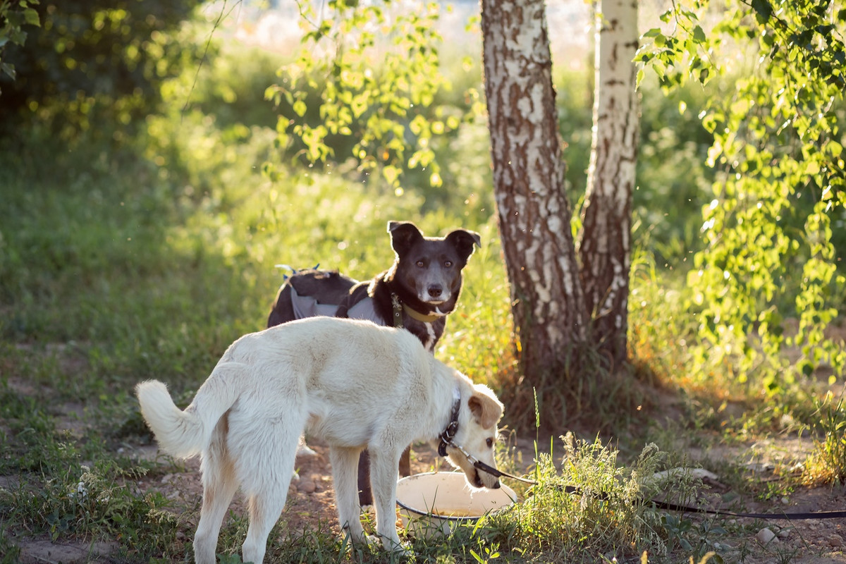зося и крема