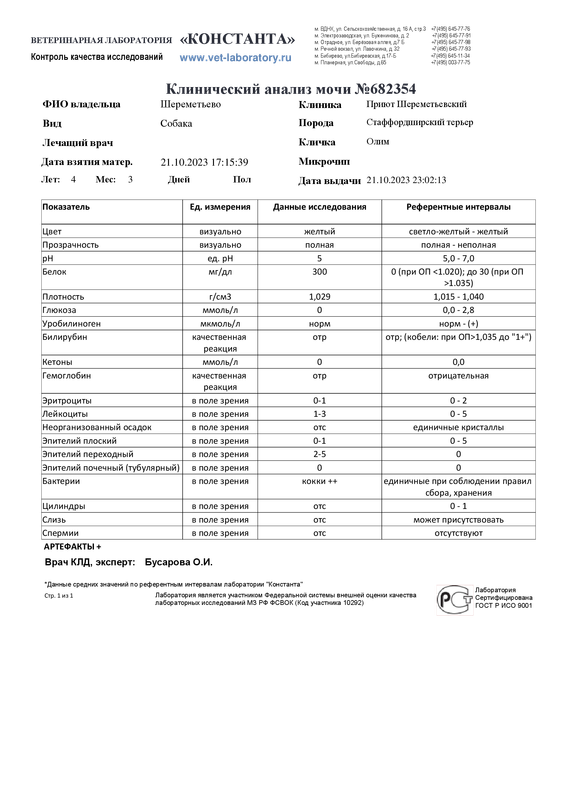 Клинический анализ мочи (682354)