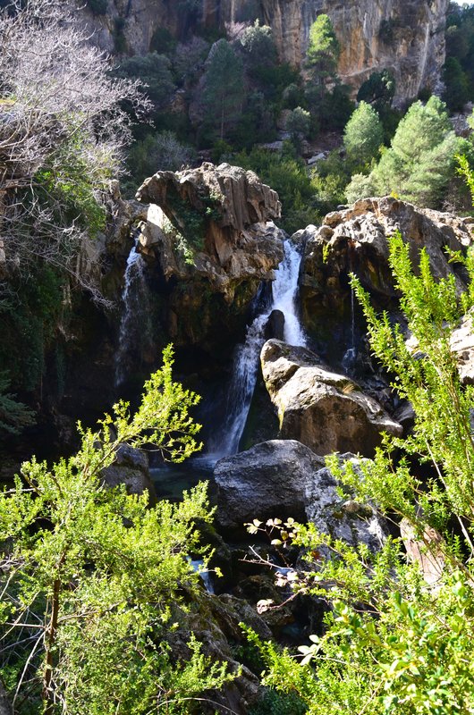 RUTA RIO BOROSA-12-3-2016-JAEN - Paseando por España-1991/2016 (105)