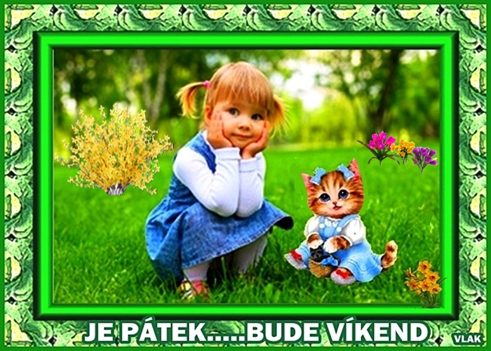 28-3-P.jpg