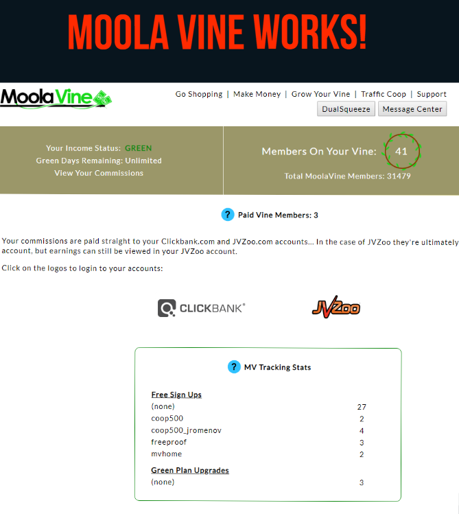 Moola Vine review from Gena Babak