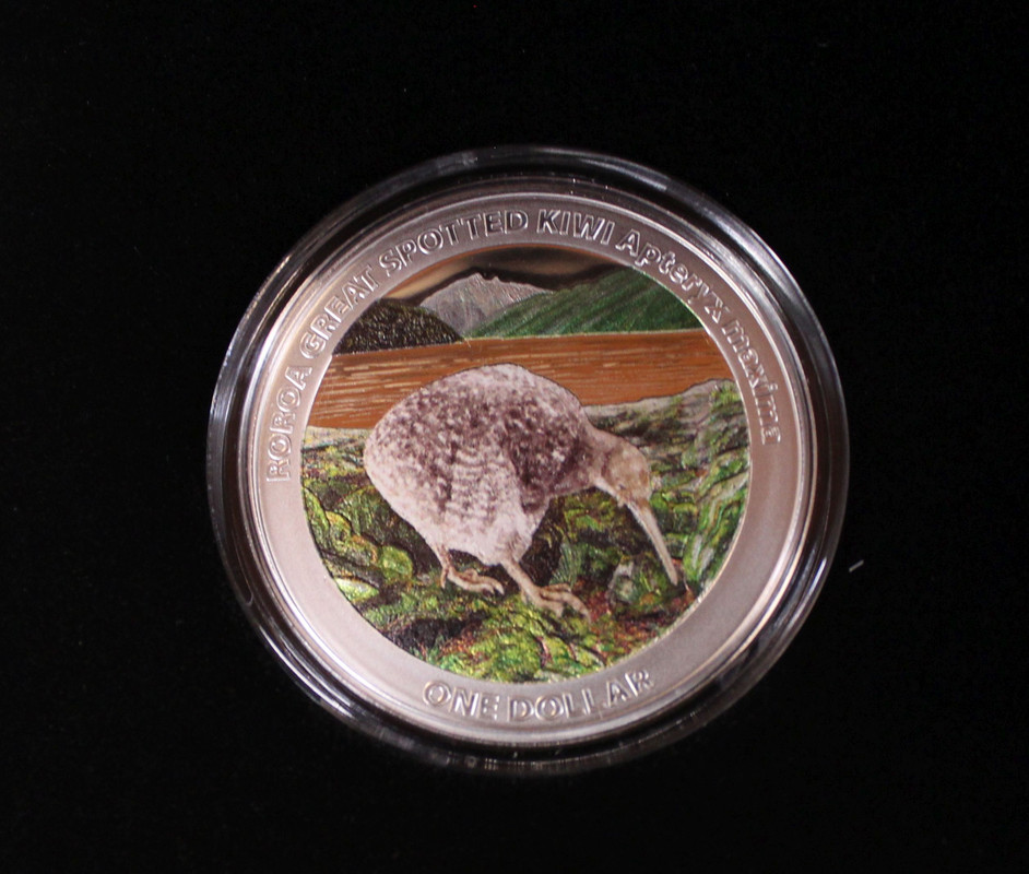 NZL-Kiwi-2024-PP-B