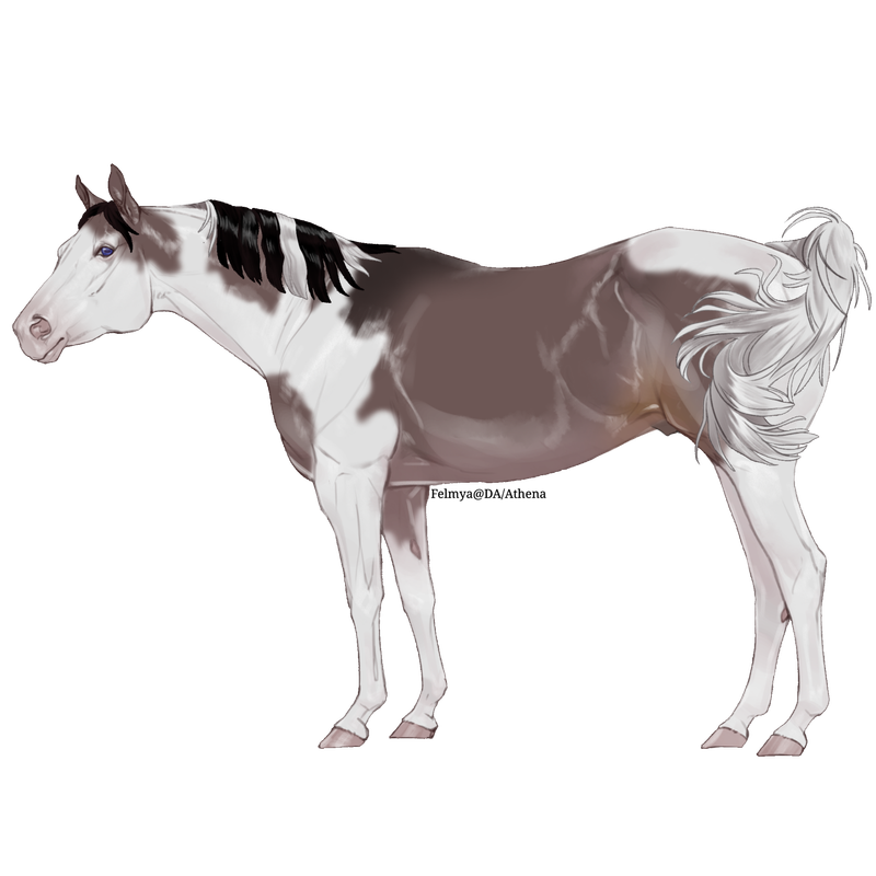 0-364053-Starry-Hills-N-A.png