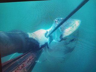 IMG_20240724_184641