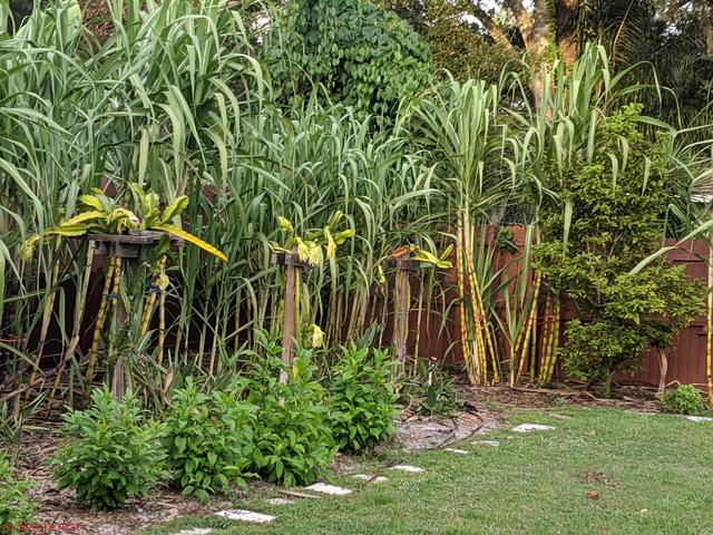 [Image: MVIMG-20191008-183735.jpg]