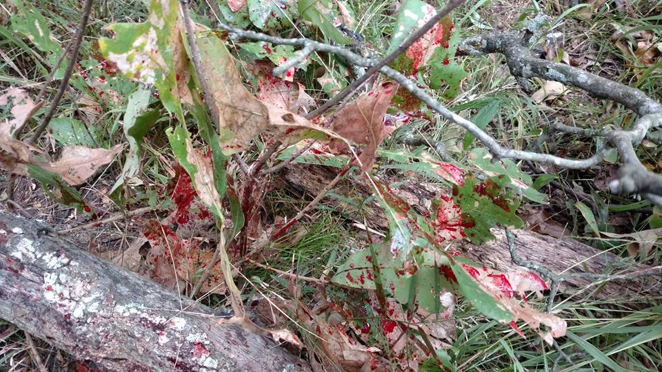 727E032B-5934-47BC-8737-C6F77CE7DFEA