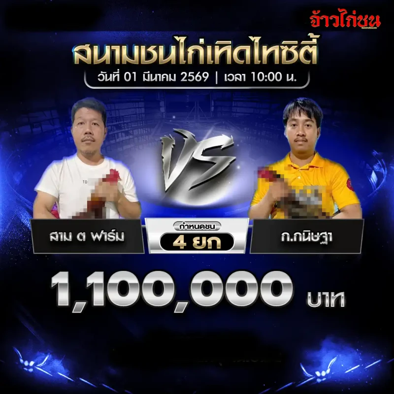โปรแกรมไก่ชน เทิดไทซิตี้ 1 มีนาคม 2569 : สาม ต ฟาร์ม vs ก.กนิษฐา (1,100,000 บาท)