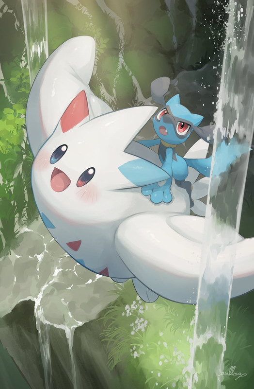 riolu-and-togekiss-pokemon-drawn-by-null