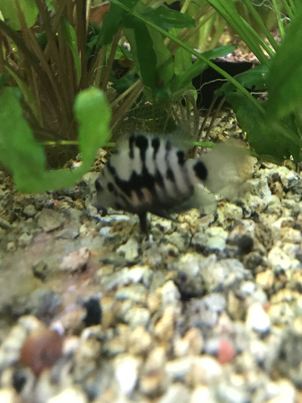 8C8FF82E-A6A2-40E6-BF2F-0EB61FAED00E