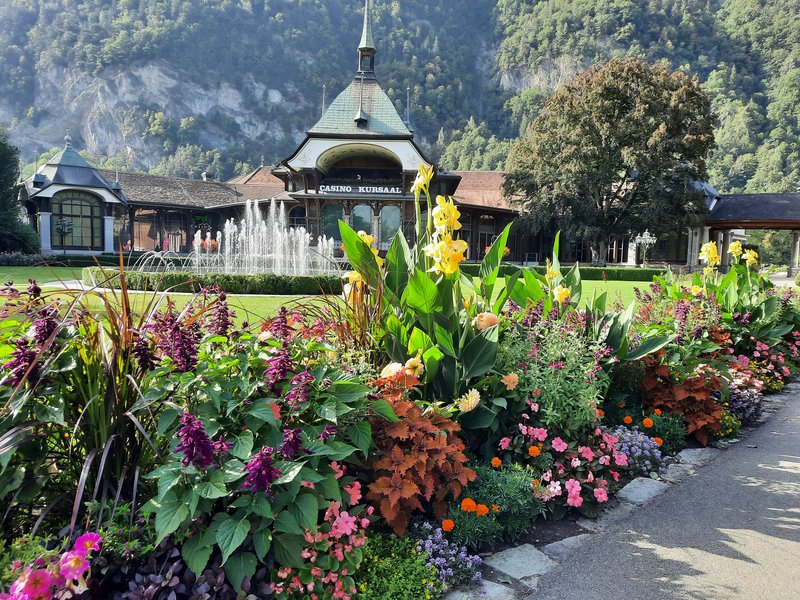 Suiza: nueve días en transporte público. - Blogs de Suiza - Dia 23. Interlaken: Harder Kulhn (6)