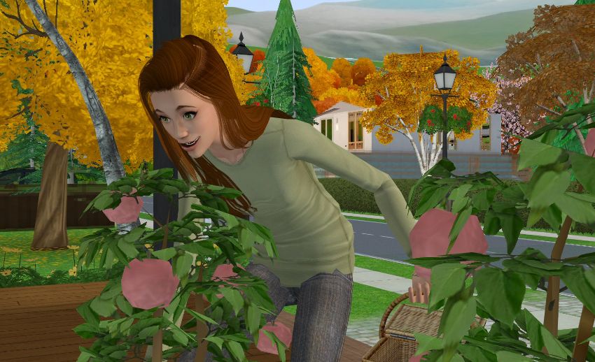 Sims2-EP9-2021-02-13-13-12-32-80