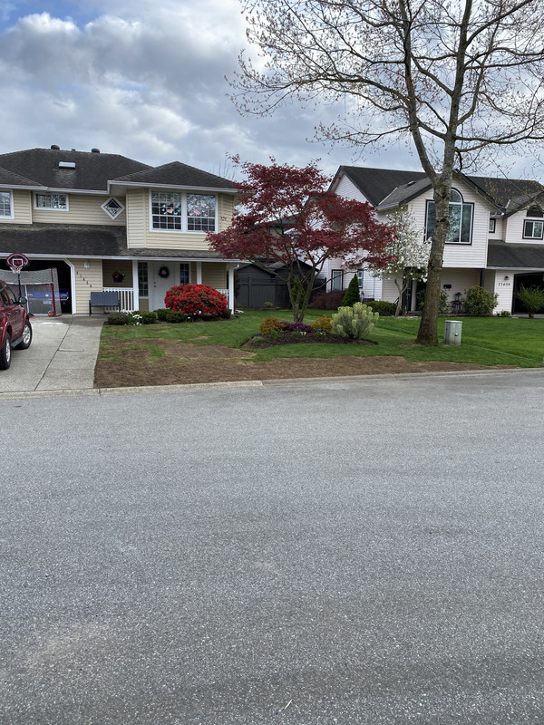 31AC8CF6-D146-4C8B-9712-504CC3478CD0