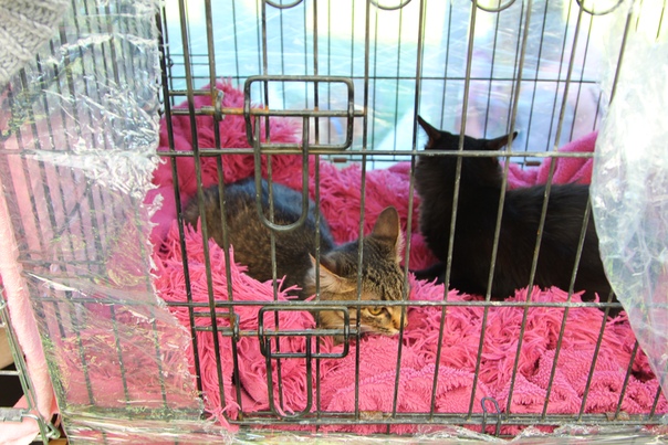 3B874E5F-5755-48F9-BD80-5A1241161260