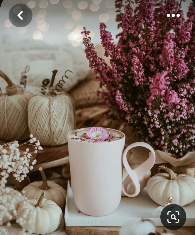 Screenshot_20230806_234549_Pinterest