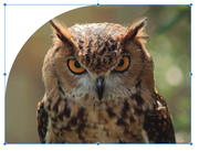 [Image: Capture-d-e-cran-2022-02-17-a-16-30-50.png]