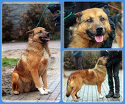 Be-Funky-collage-20.jpg&key=b38a2f9c025a