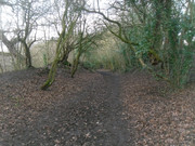 SDC12903