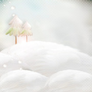 BC-Xmas-In-The-Woods-PP-5