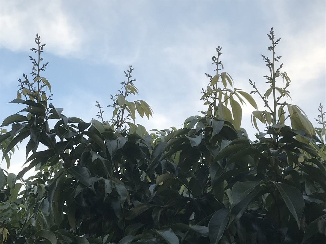 76B05ABD-2BBD-457F-99FC-DAEA173659E3