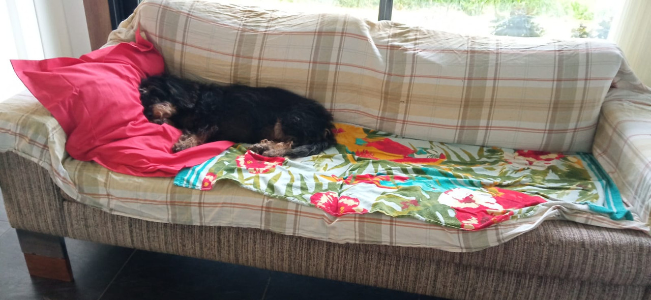 [Image: IMG-20240501-WA0014.jpg]