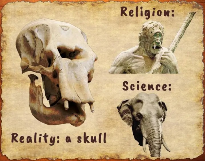 [Image: Skull.jpg]