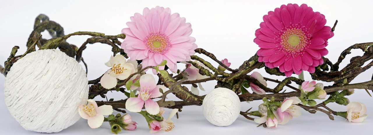 flowerslong.jpg