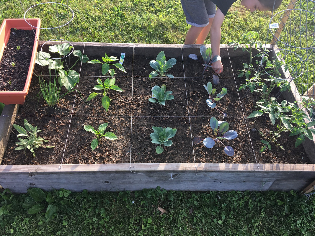 FD5D2EBA-6F5A-4F5A-9DB8-65FC7DB9C4E2