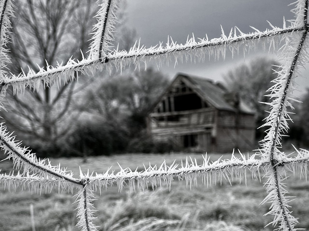 54CE0DB3-F49F-4272-80F0-CC5DC8595682