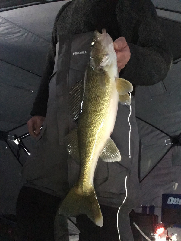 DE895227-0048-4AA5-8100-3D296ECF8456