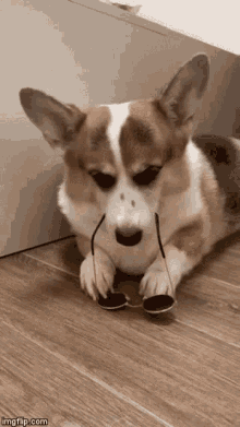03e02af8c943a8ff57dee9c3e3bc7518.gif