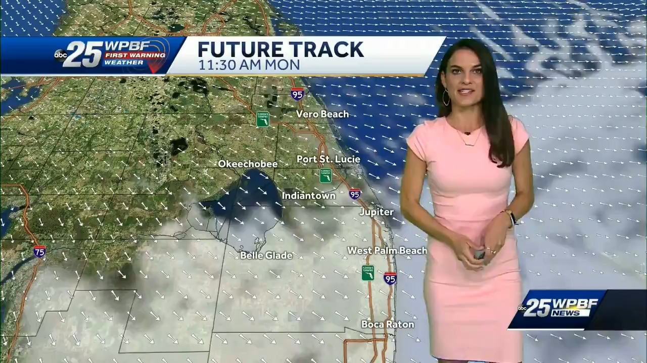 11.02 - 04.00.00 - WPBF 25 News..ts_snapshot_00.52.57.870