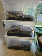 20210526-092059.jpg