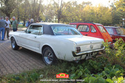 IMG-3393