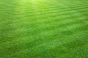 Best installation artificial turf Mesa
