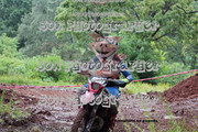 IMG-6329