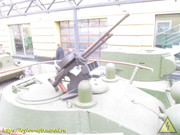 IMG-0616