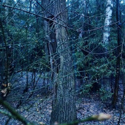 ig7ODREu-nV8psSXOixROMC_u0qL9hqWsBQoXIvYSNmLjBLxMsHu1rKZ6-7EQ8CdenLI2WaT