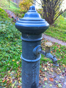 PXL_20211024_143705938.PORTRAIT