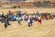 IMG-0432
