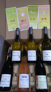 P-20200925-165600-p.jpg
