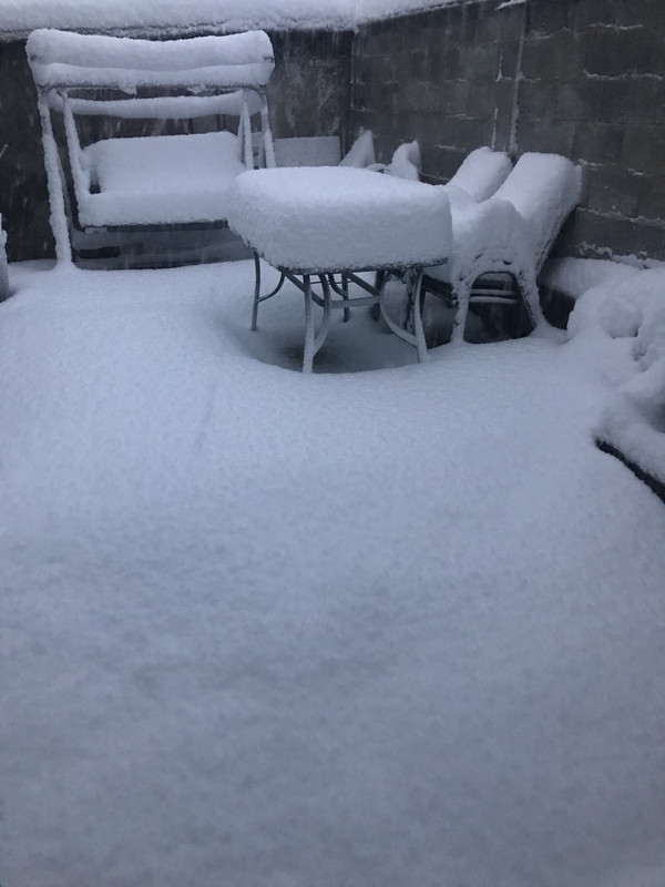 E1BD14F3-0114-47F6-A03C-073A778B027D