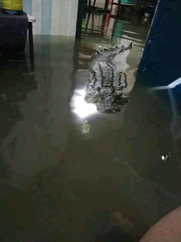 ohoh.jpg