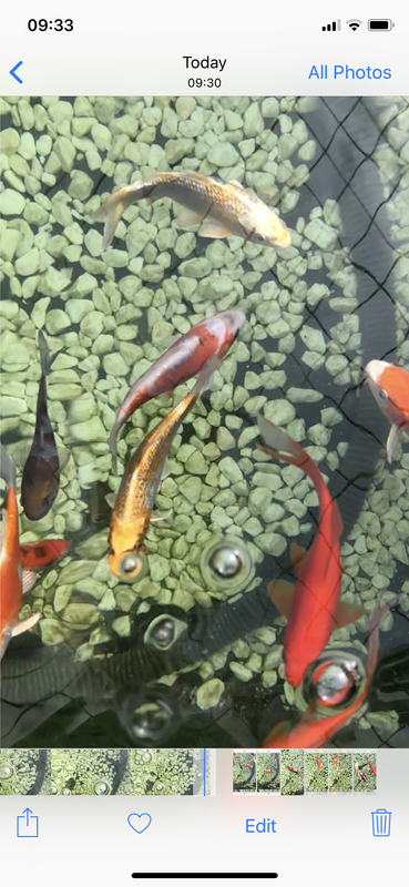 5E17EEF0-345B-46F8-85CD-C114E0941581