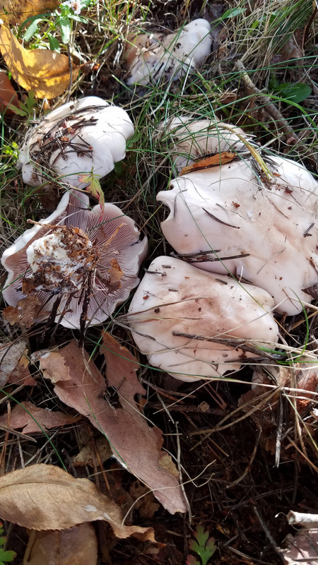 20181010_155646
