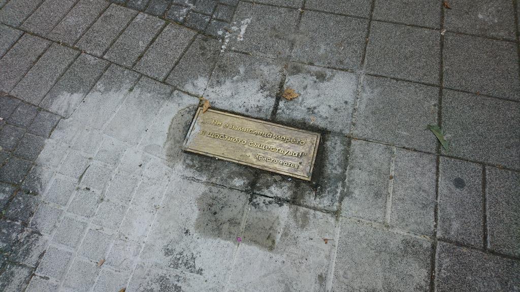 DSC-1856.jpg